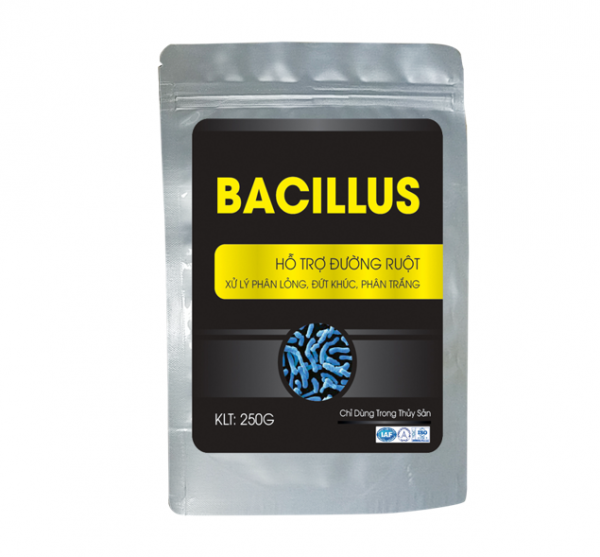 BACILLUS 1